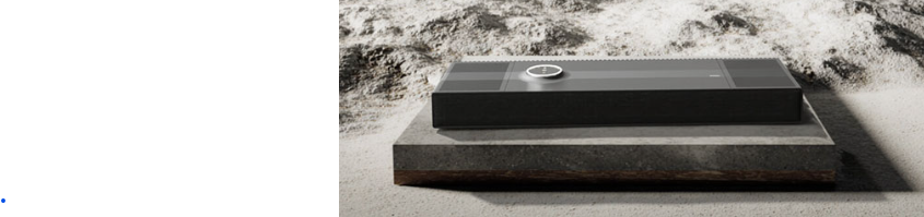 Focal Accessories