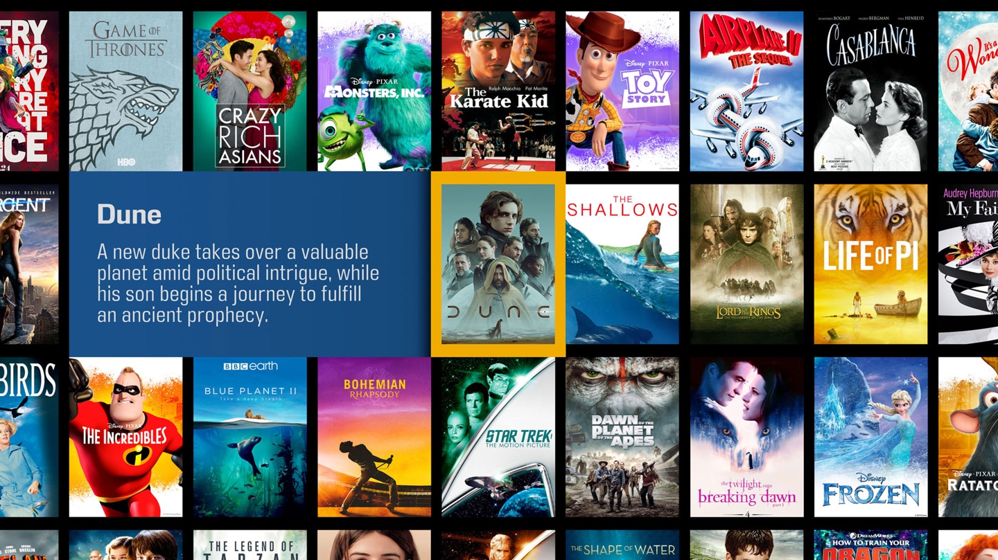 Kaleidescape visual movie library interface
