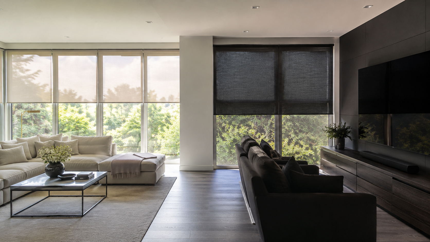 Different shade fabrics controlling daylight and television glare